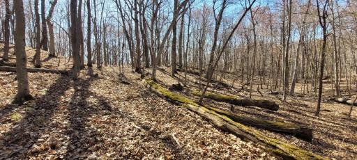 193XX N Newgate Avenue, Marine On Saint Croix, MN 55047
