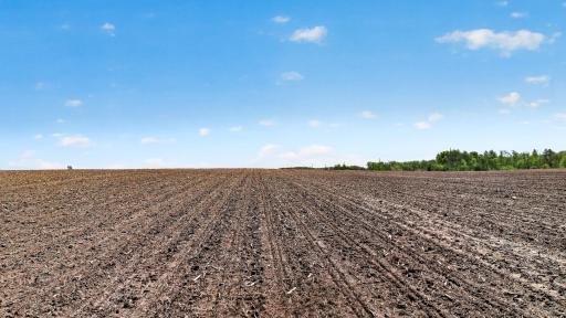 8200 County Rd 19, Corcoran, MN 55340