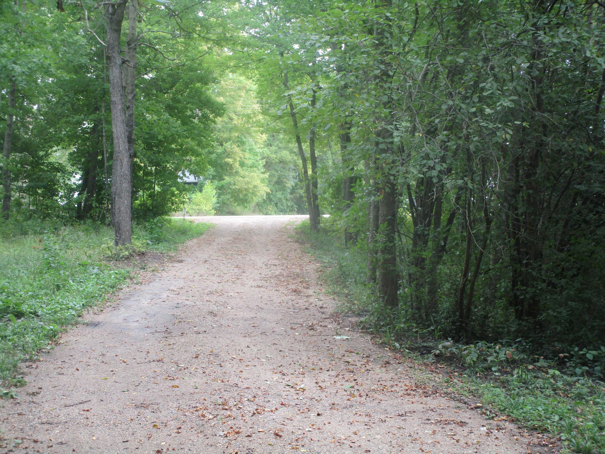 Driveway to Shed
