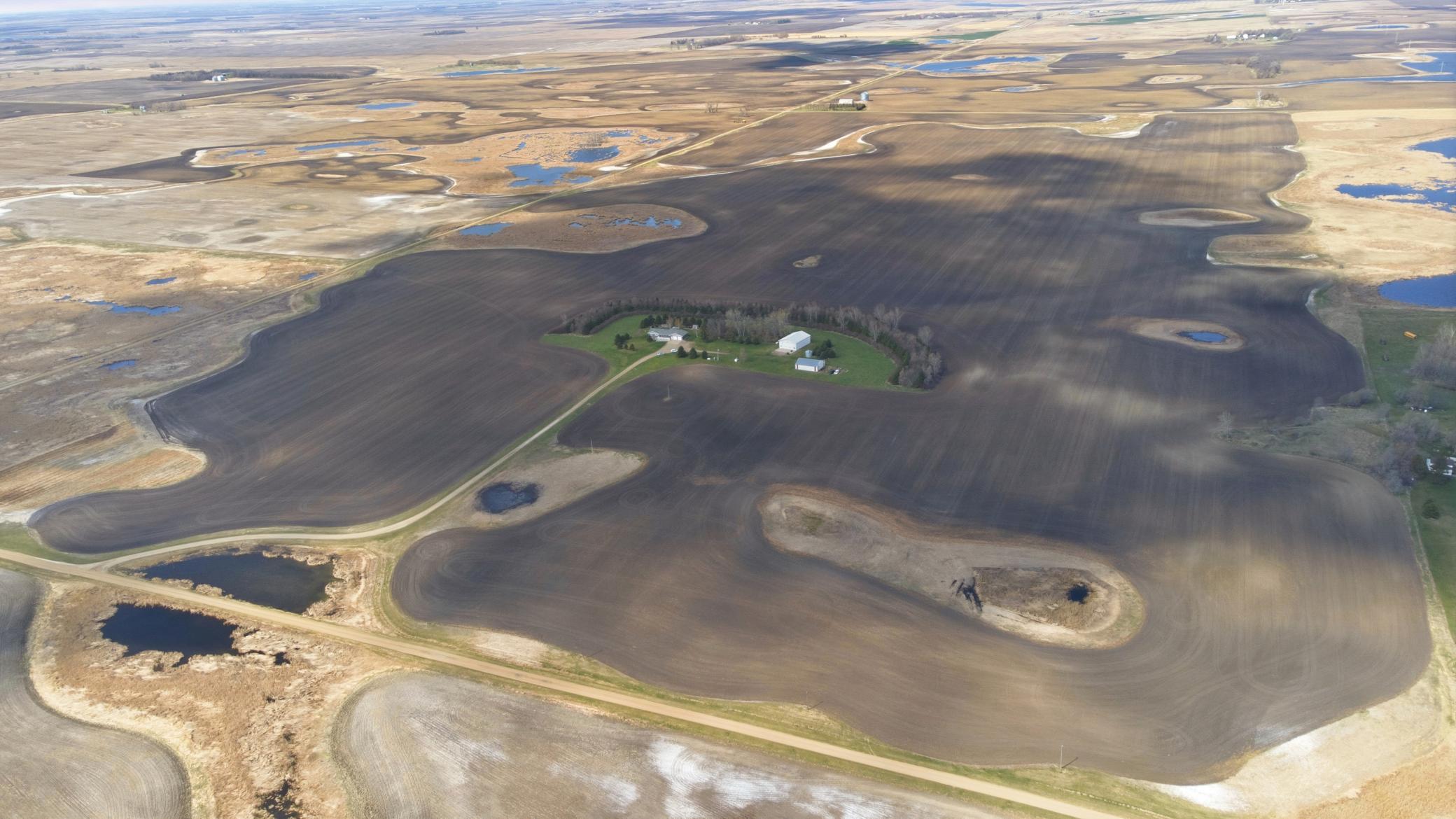 DJI_0550.jpg