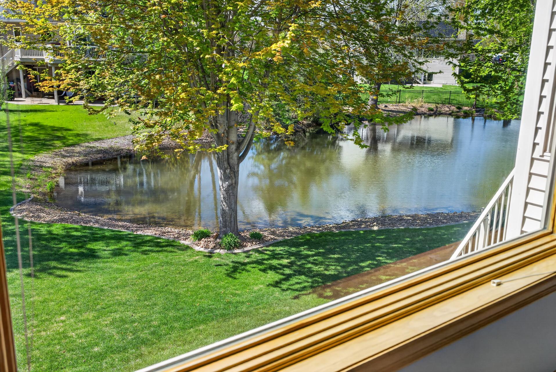 Dining area views