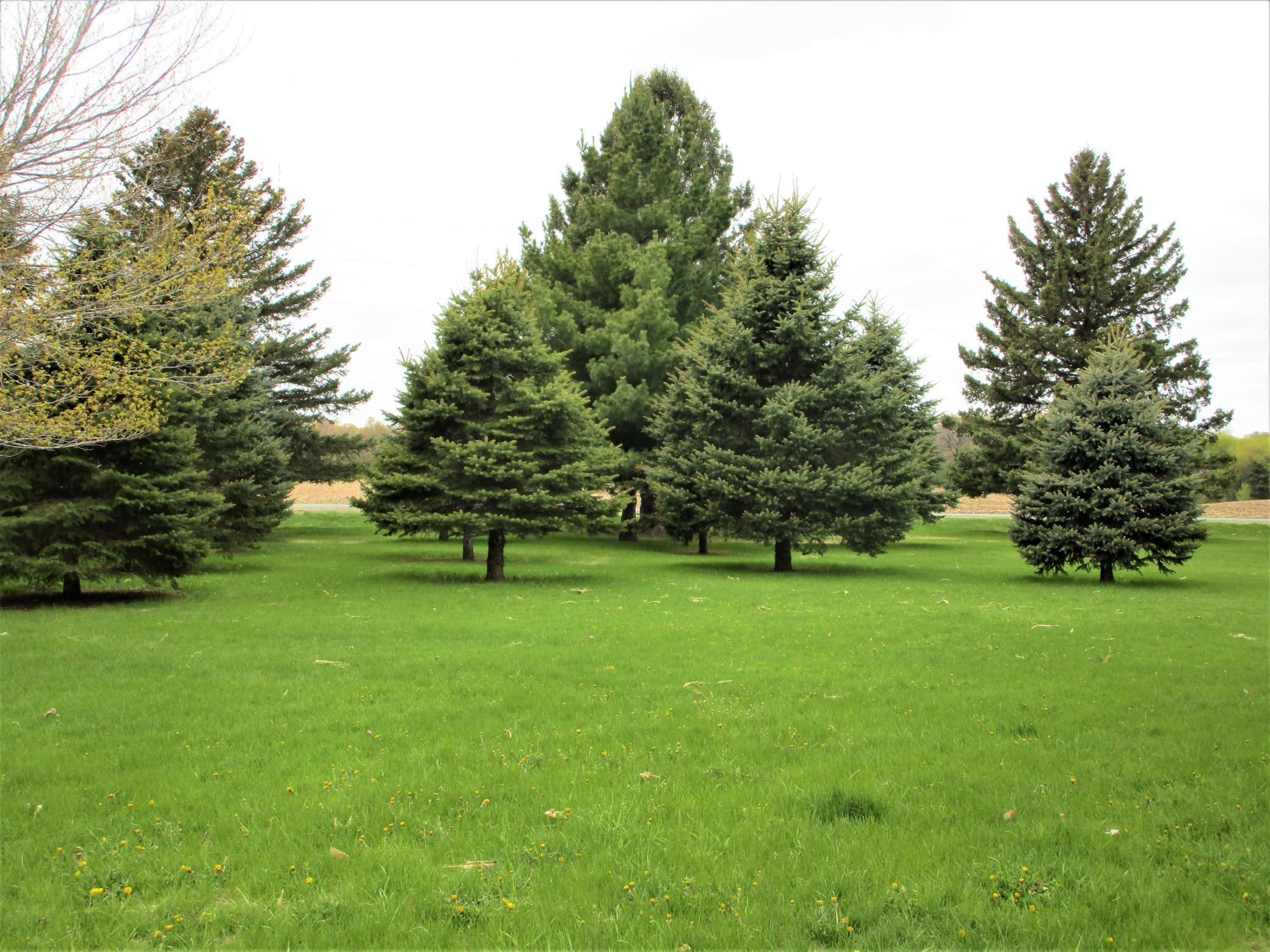 1.57 Acre Lot