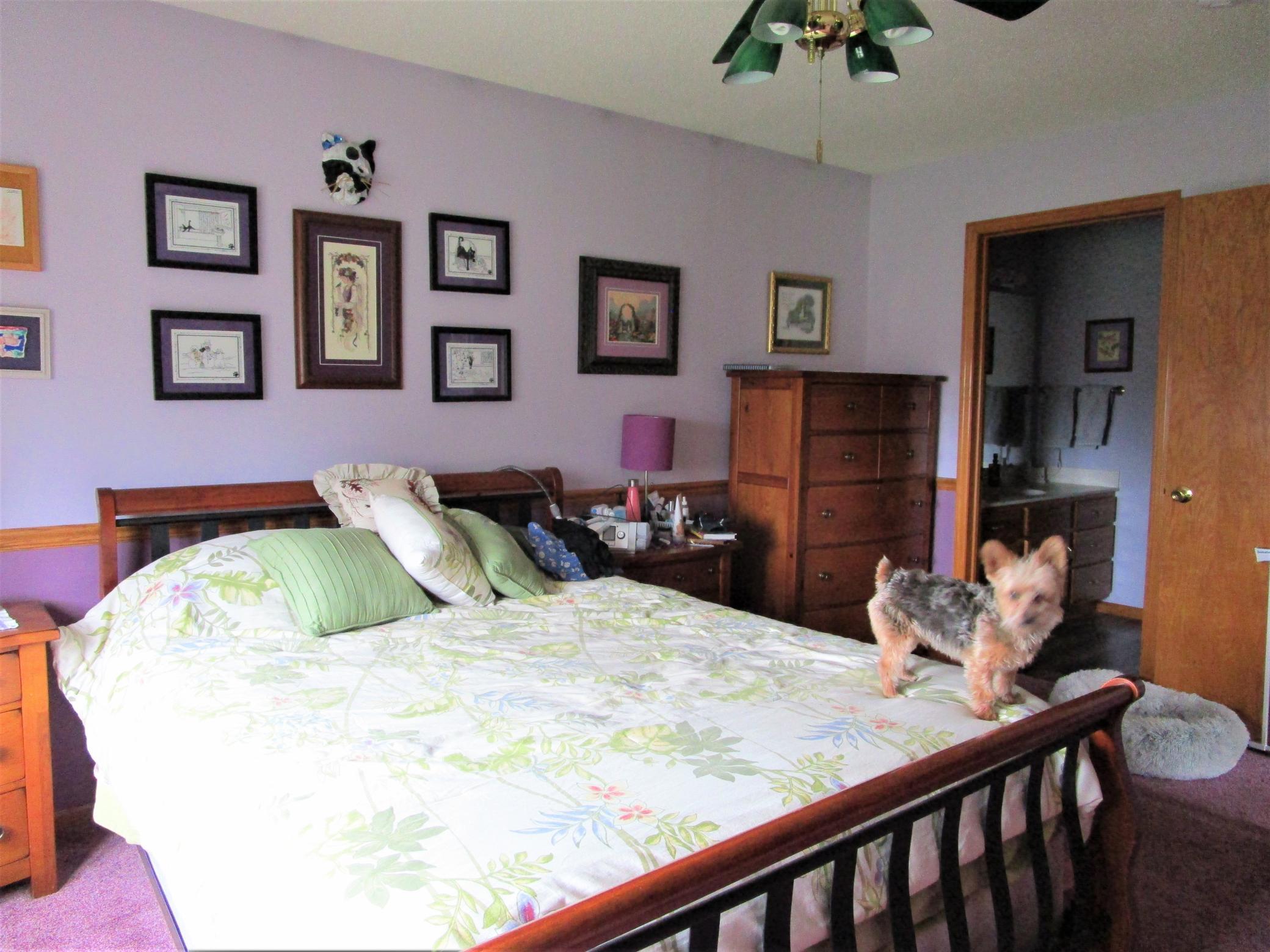 Upper Level Primary Bedroom