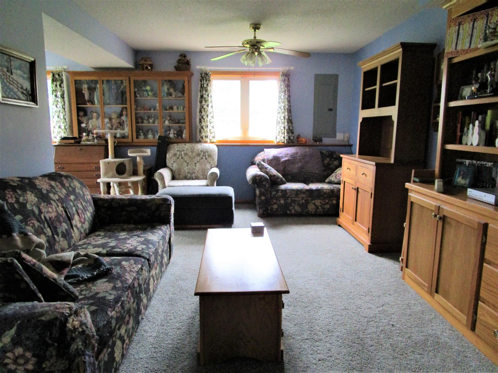 Lower Level Family Room With Custom Display Cases