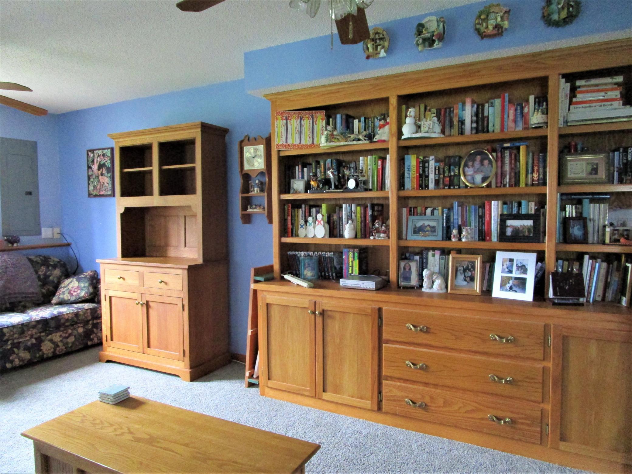 Lower Level Family Room With Bookcases