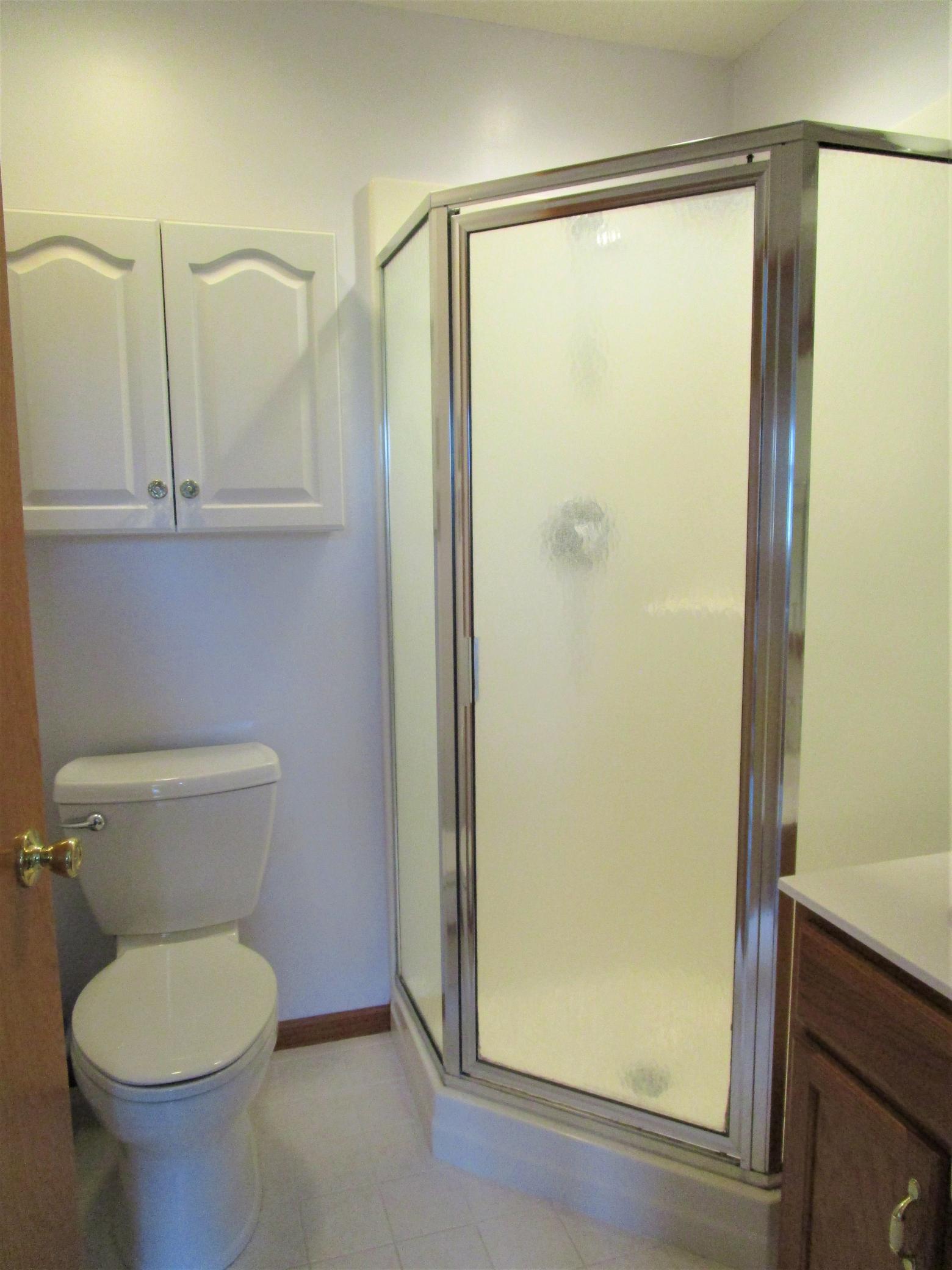 Lower Level 3/4 Bathroom
