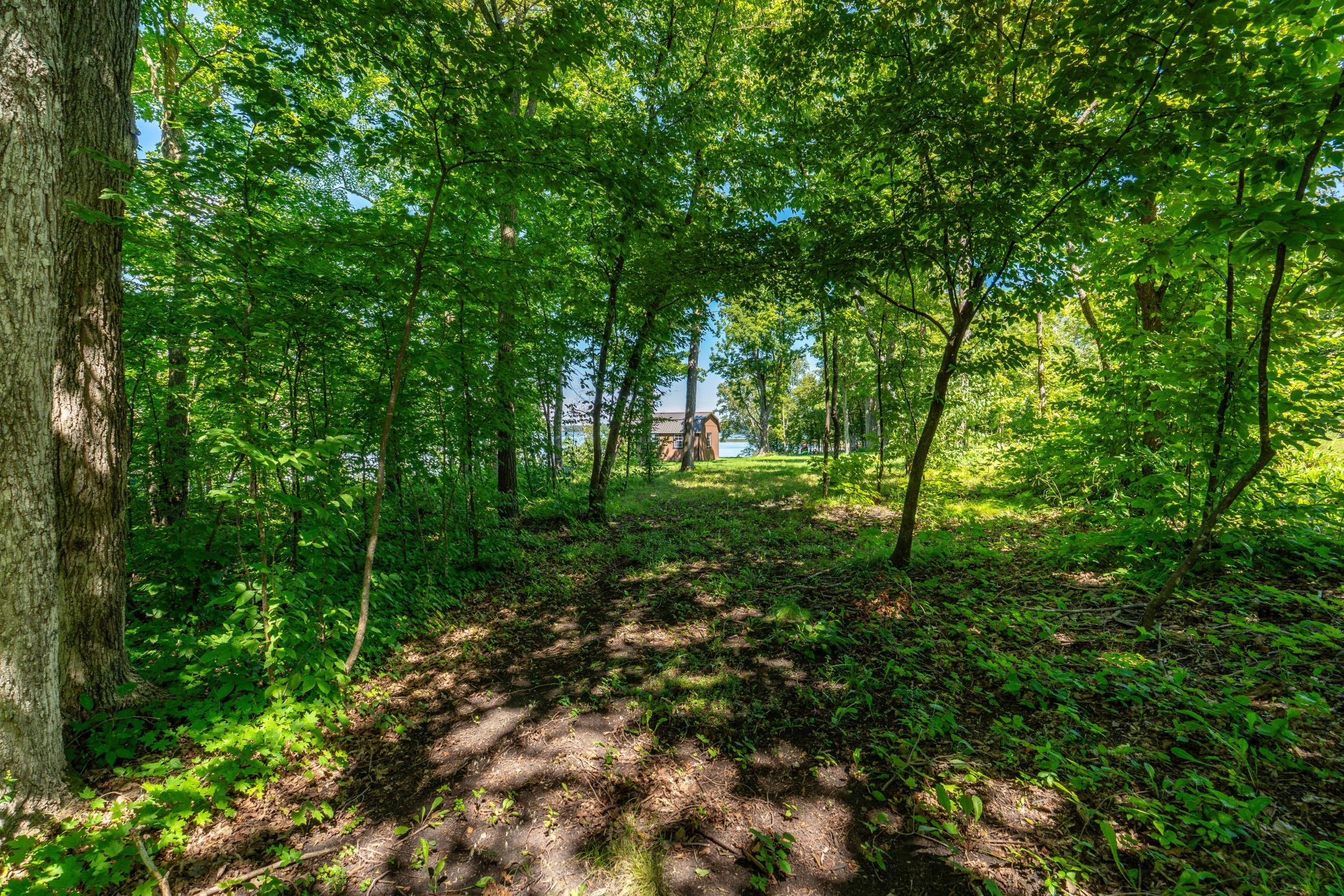 Trail in woods