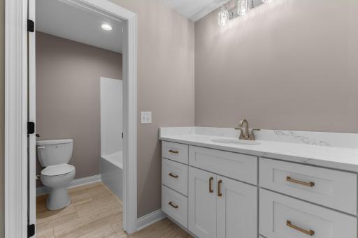 Lower - Level Bathroom - Custom Amish vanity & Private Toilet Room