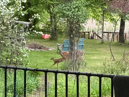 39511 460th Avenue, Perham, MN 56573