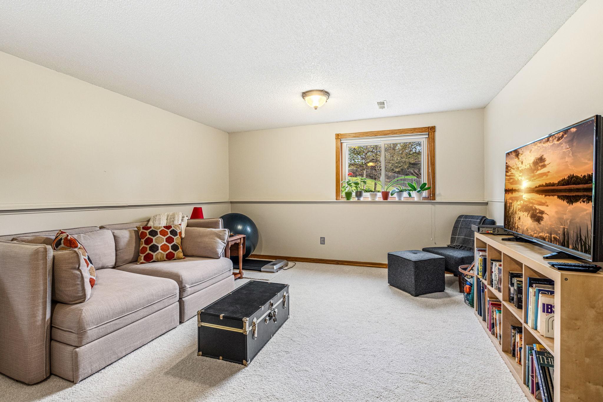 Lower level flex space. 3rd bedroom or living space.