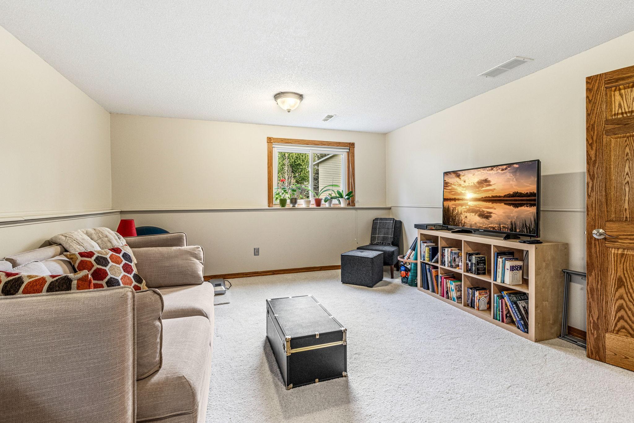 Lower level flex space. 3rd bedroom or living space.