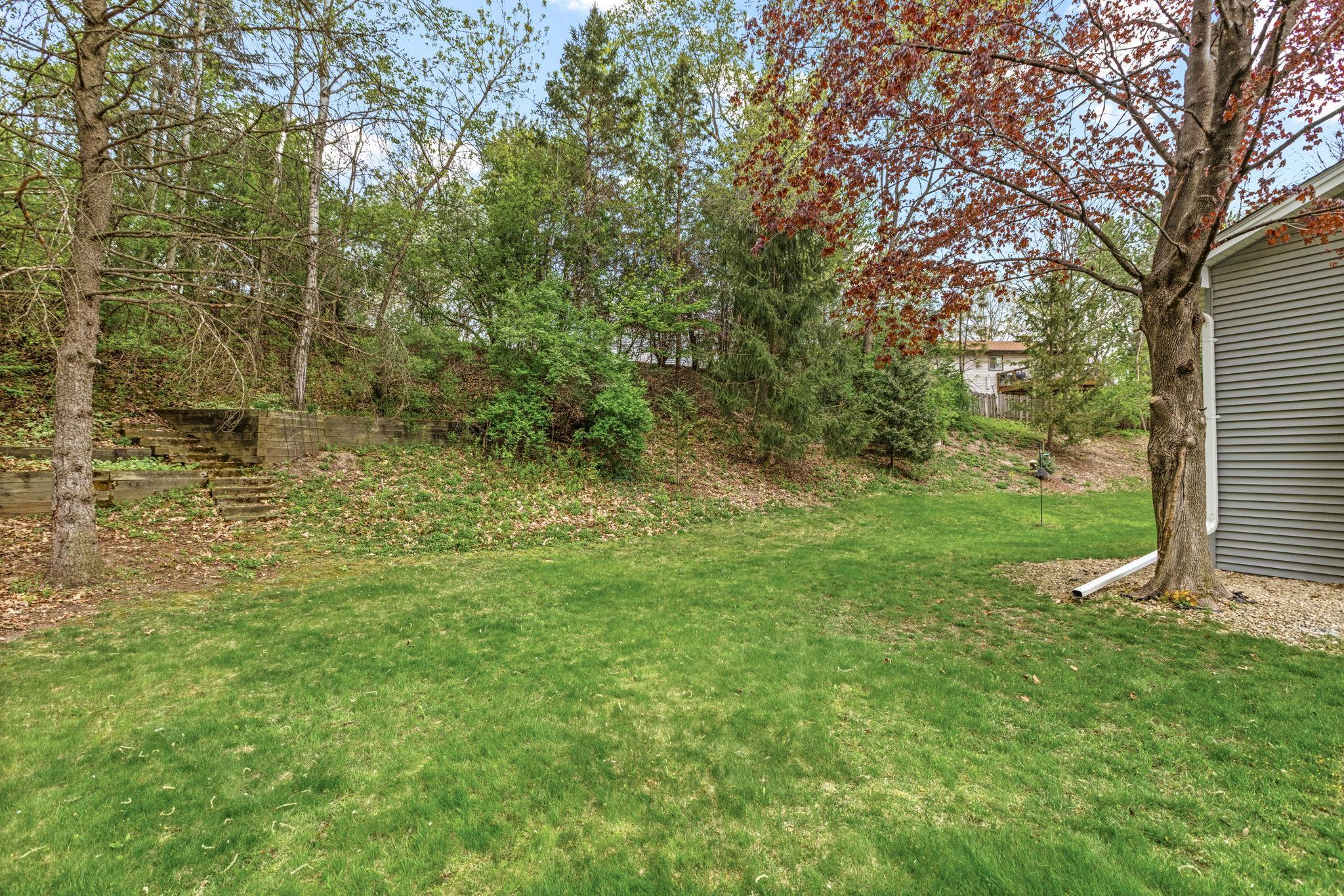 Wooded Backyard