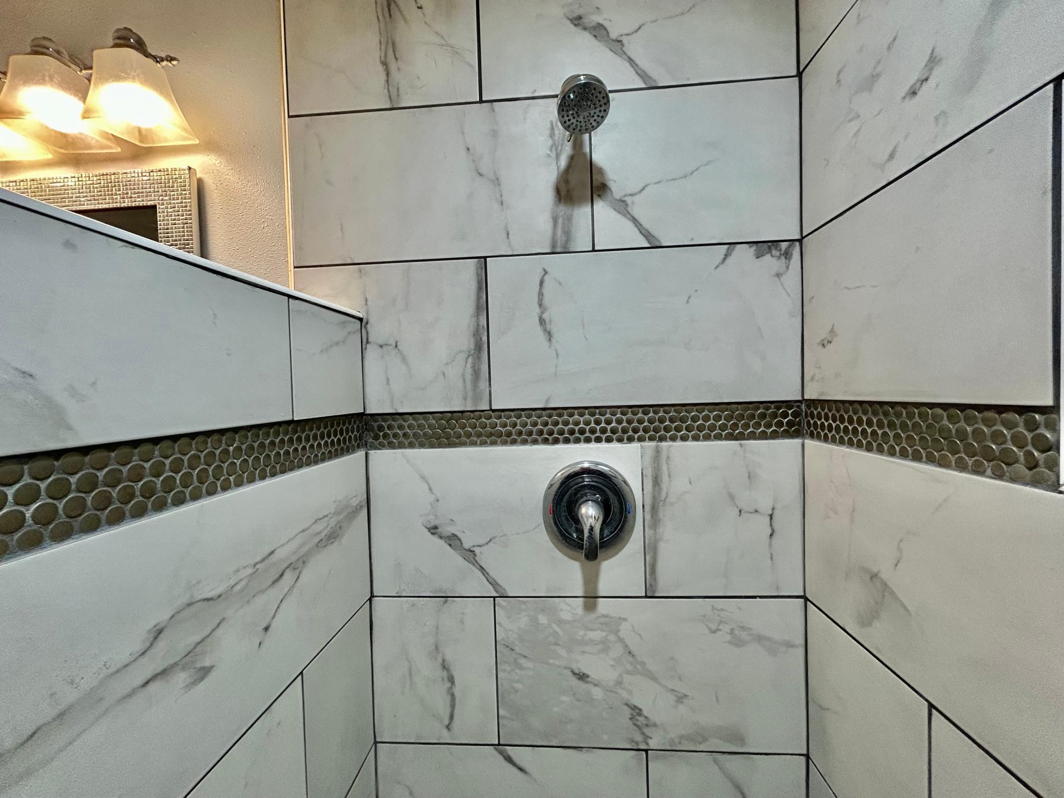 Primary Shower