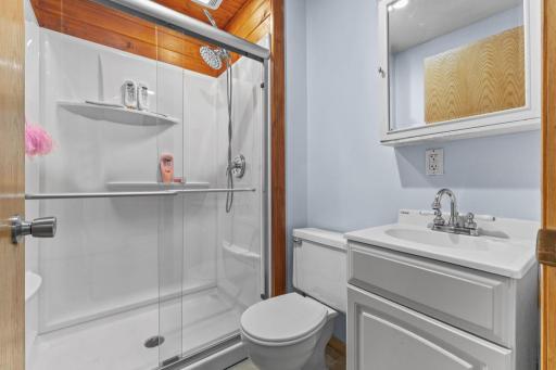 Lower-level bathroom