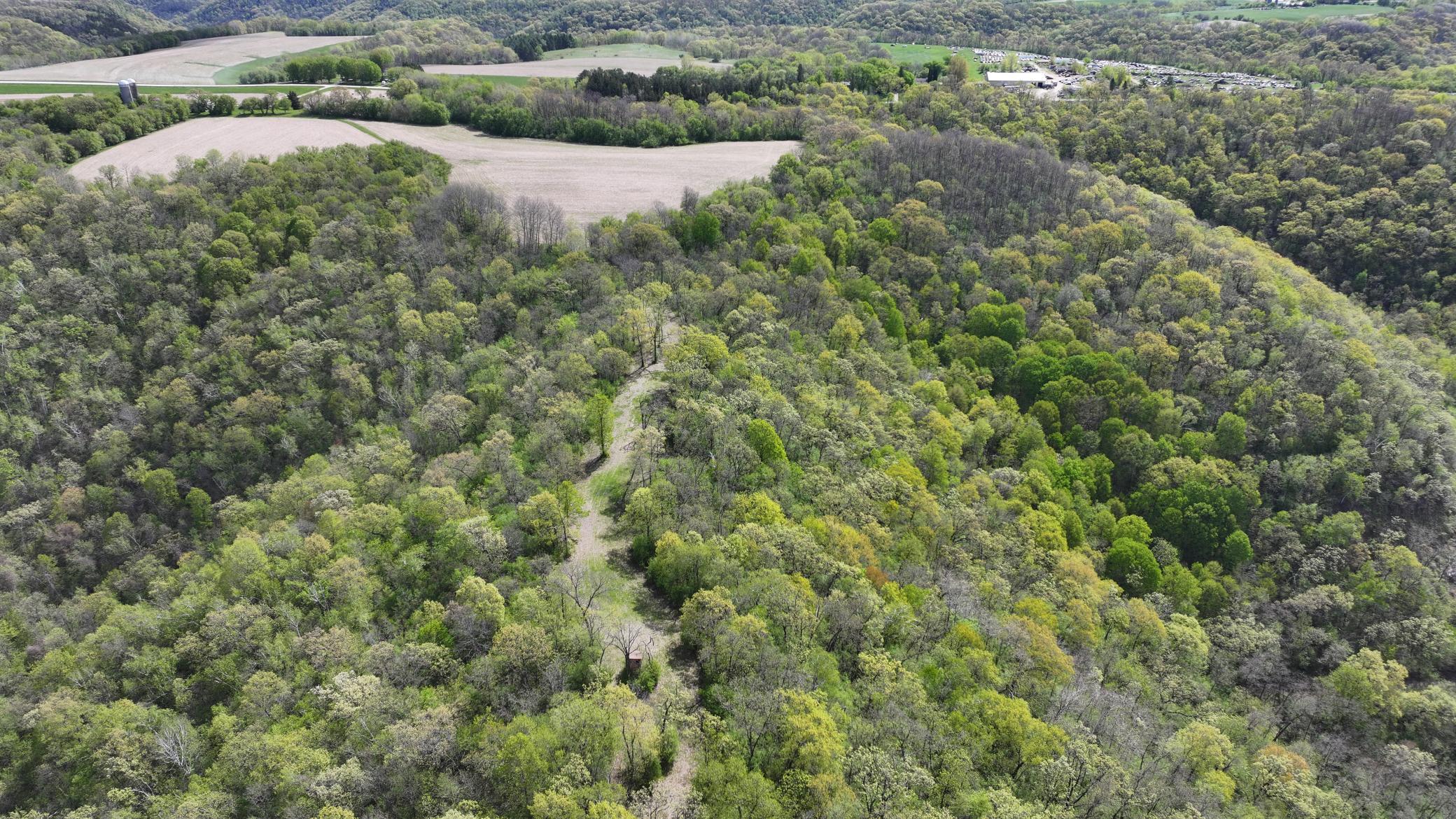DJI_20260505105040_0719_D.JPG