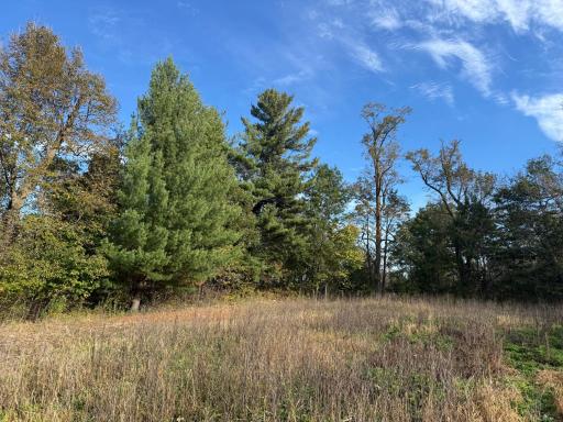 TBD Nightingale Street, Braham, MN 55006