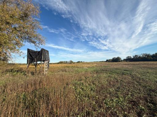 TBD Nightingale Street, Braham, MN 55006