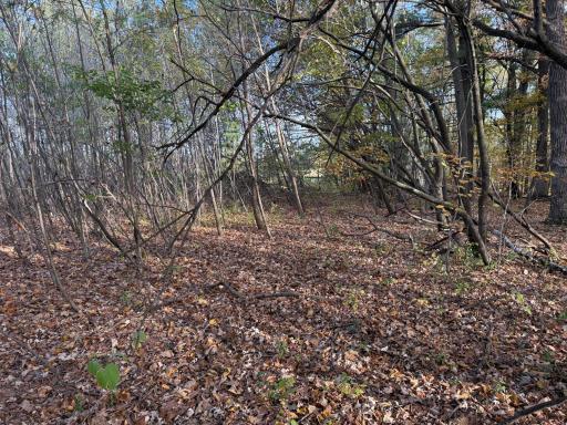 TBD Nightingale Street, Braham, MN 55006