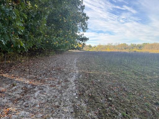 TBD Nightingale Street, Braham, MN 55006