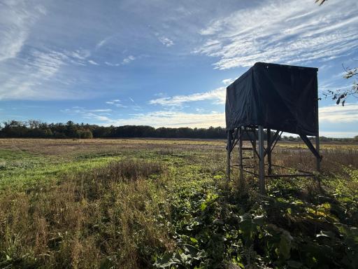 TBD Nightingale Street, Braham, MN 55006