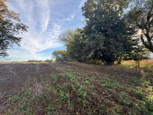 TBD Nightingale Street, Braham, MN 55006