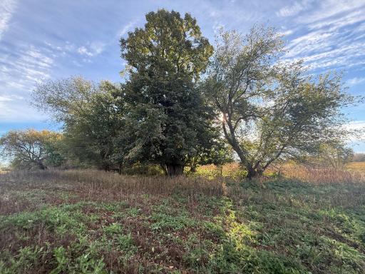 TBD Nightingale Street, Braham, MN 55006