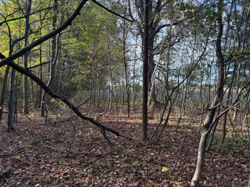 TBD Nightingale Street, Braham, MN 55006