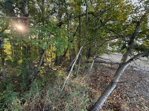 TBD Nightingale Street, Braham, MN 55006