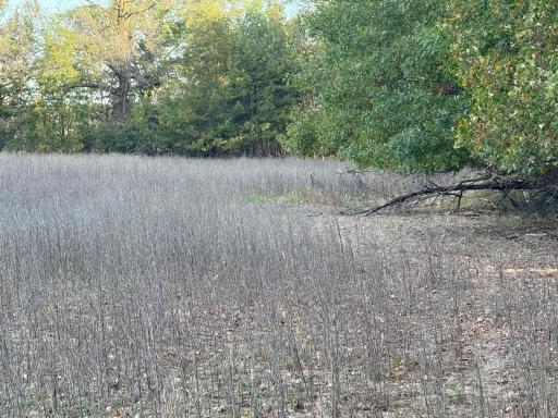 TBD Nightingale Street, Braham, MN 55006