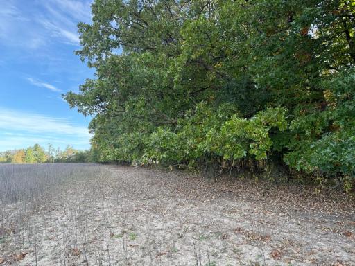 TBD Nightingale Street, Braham, MN 55006