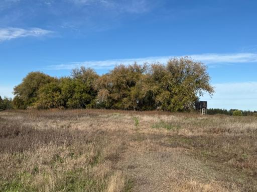 TBD Nightingale Street, Braham, MN 55006