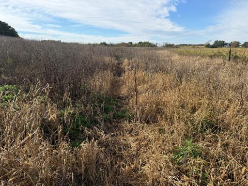 TBD Nightingale Street, Braham, MN 55006