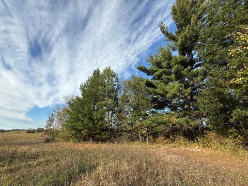 TBD Nightingale Street, Braham, MN 55006