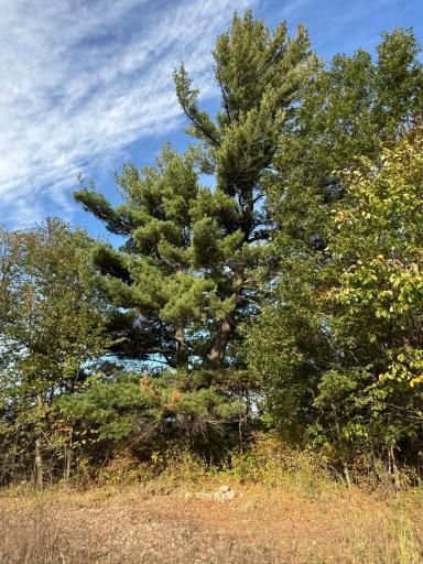 TBD Nightingale Street, Braham, MN 55006
