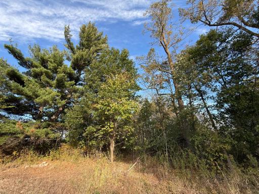 TBD Nightingale Street, Braham, MN 55006