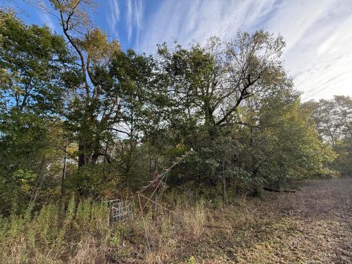 TBD Nightingale Street, Braham, MN 55006