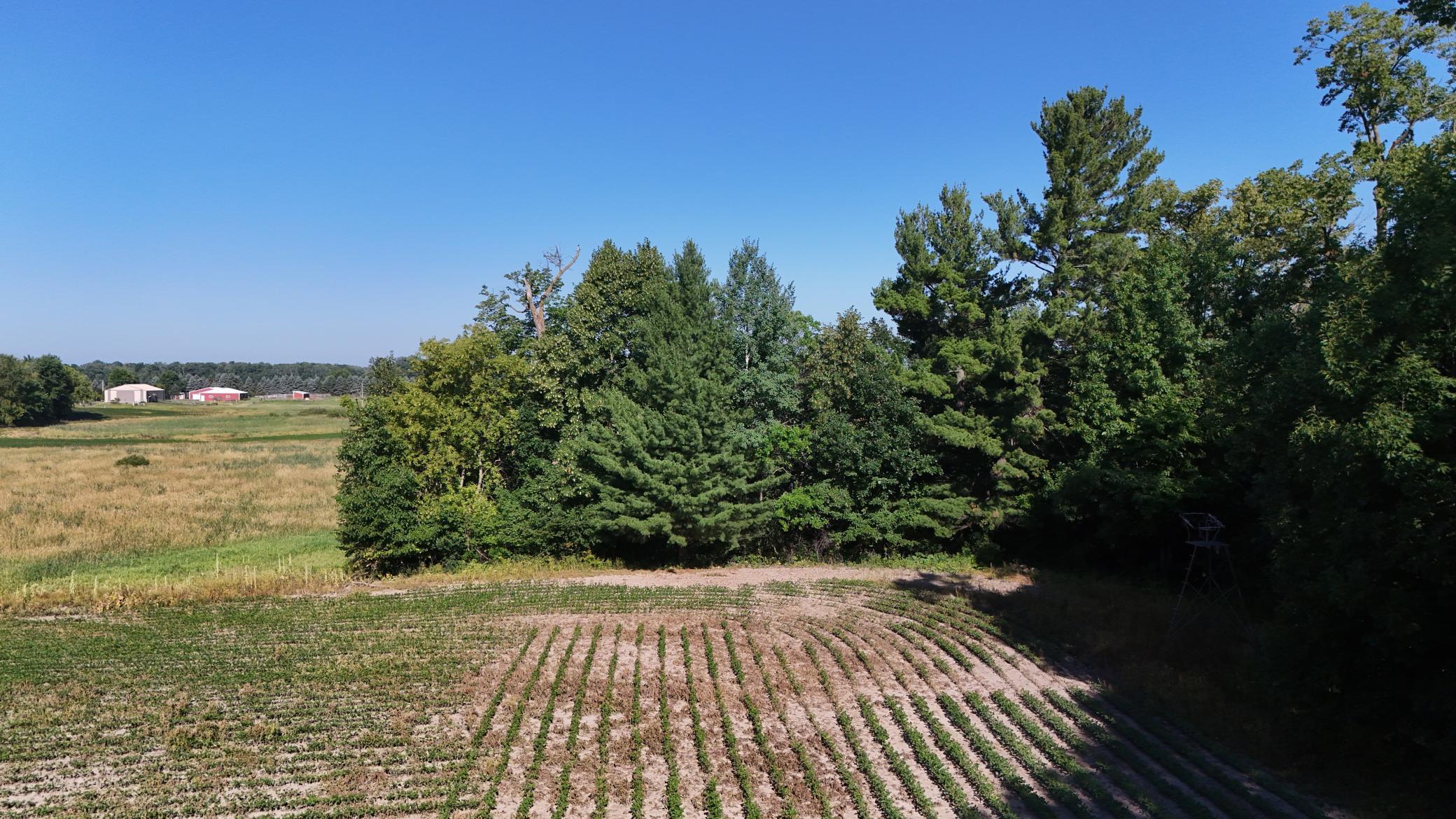 DJI_20260714090316_0044_D.jpeg