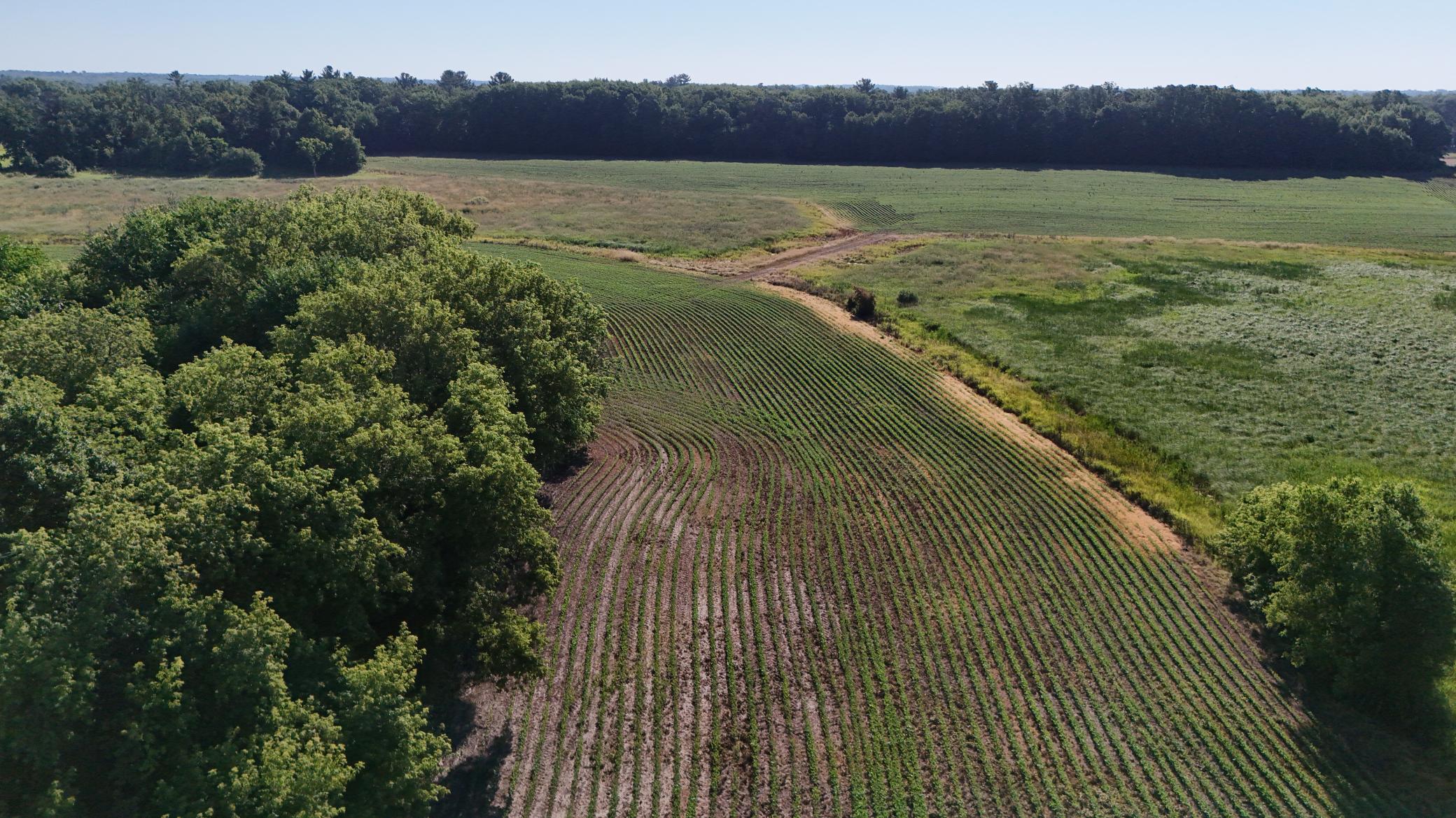 DJI_20260714090052_0038_D.jpeg