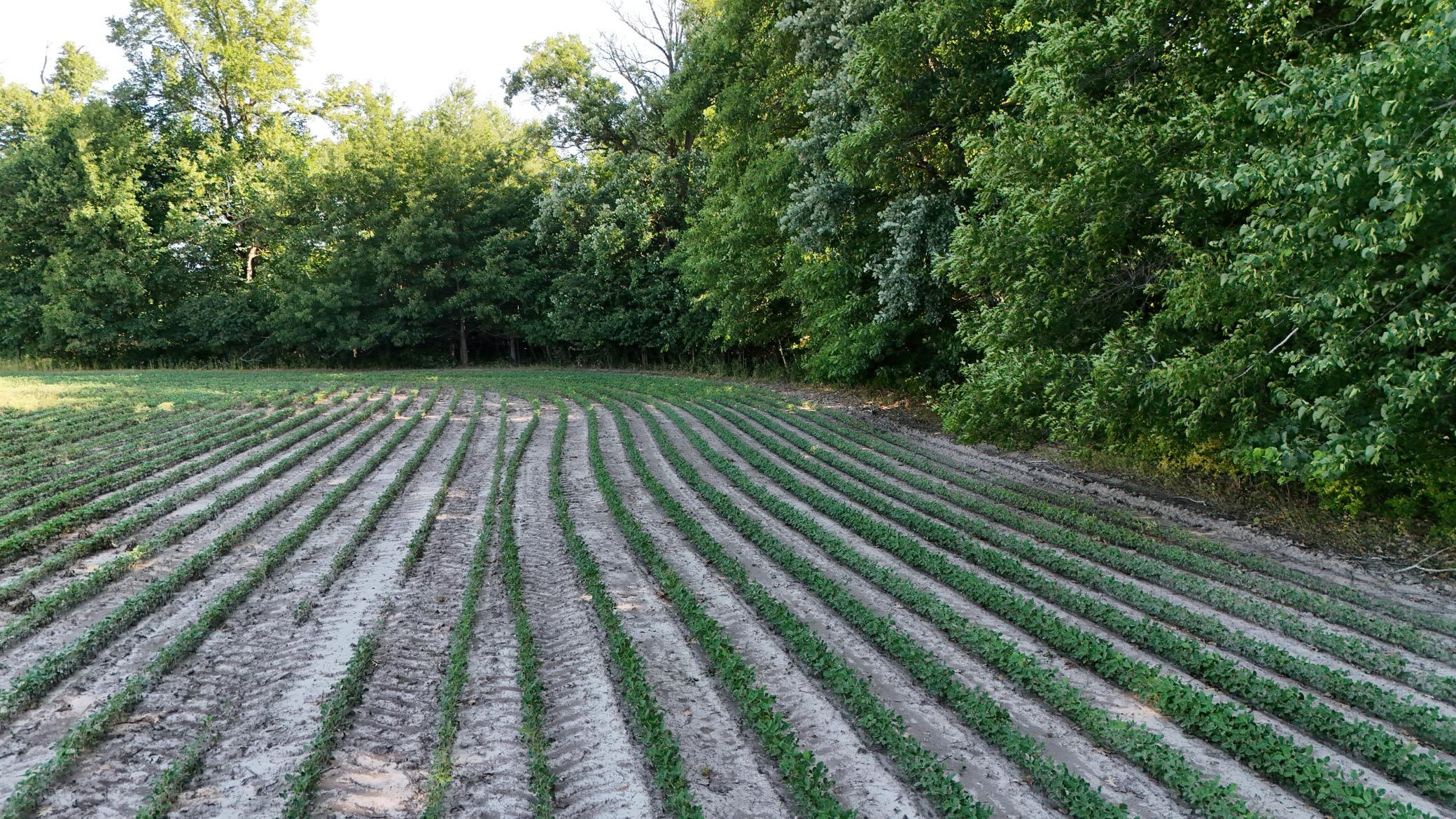DJI_20260714090341_0046_D.jpeg