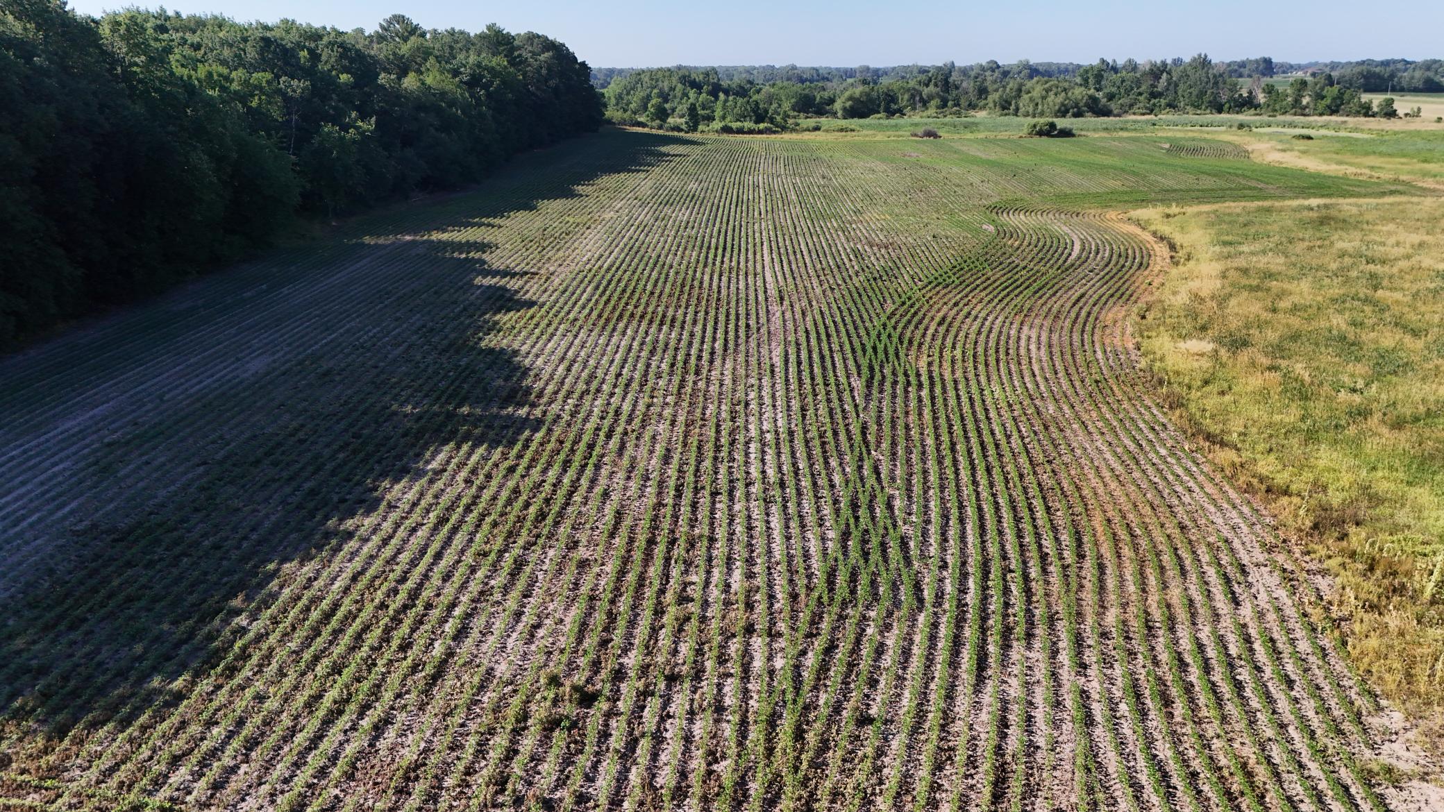 DJI_20260714090250_0043_D 2.jpeg