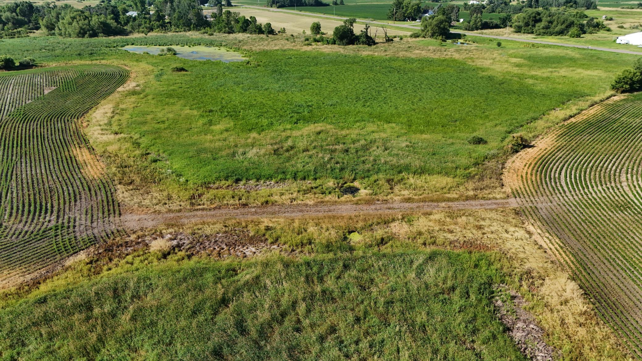 DJI_20260714090524_0052_D.jpeg
