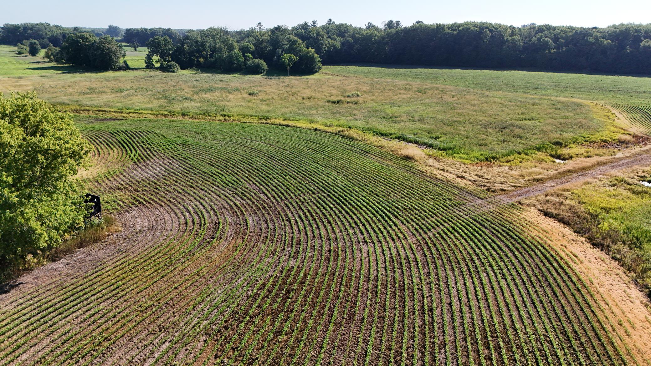 DJI_20260714090159_0041_D.jpeg
