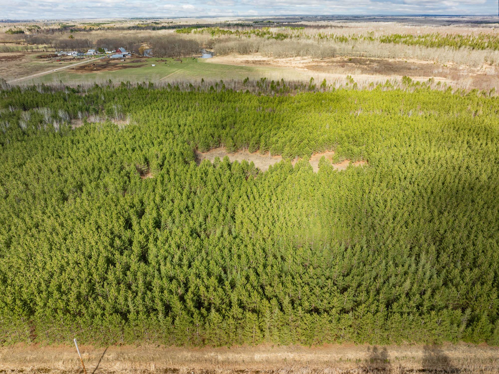 DJI_20260504092115_0443_D-Edit.jpg