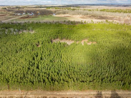 Lot 3 Scenic Highway 7, Bovey, MN 55709