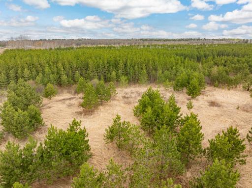 Lot 3 Scenic Highway 7, Bovey, MN 55709