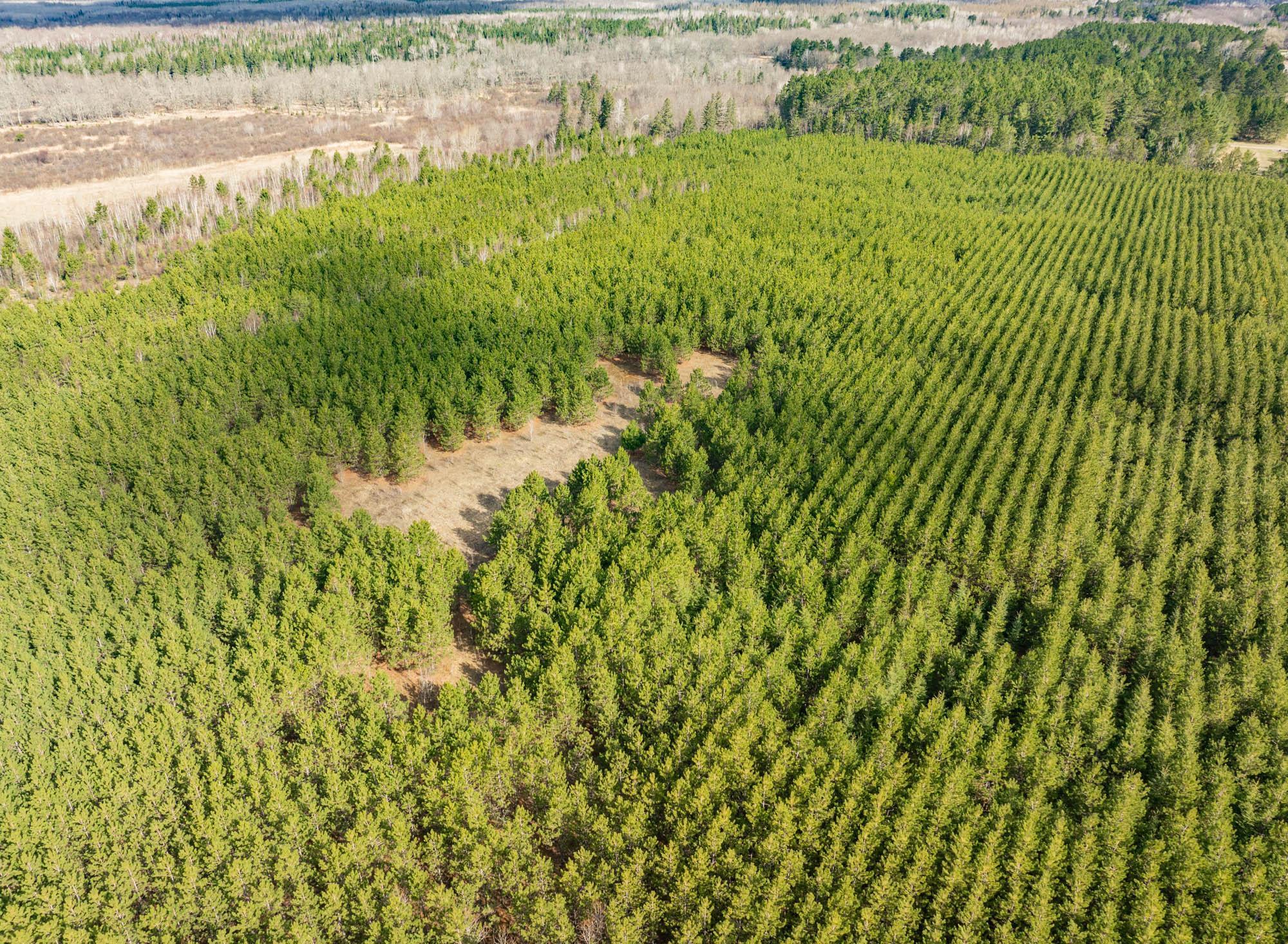 DJI_20260504092155_0449_D.jpg