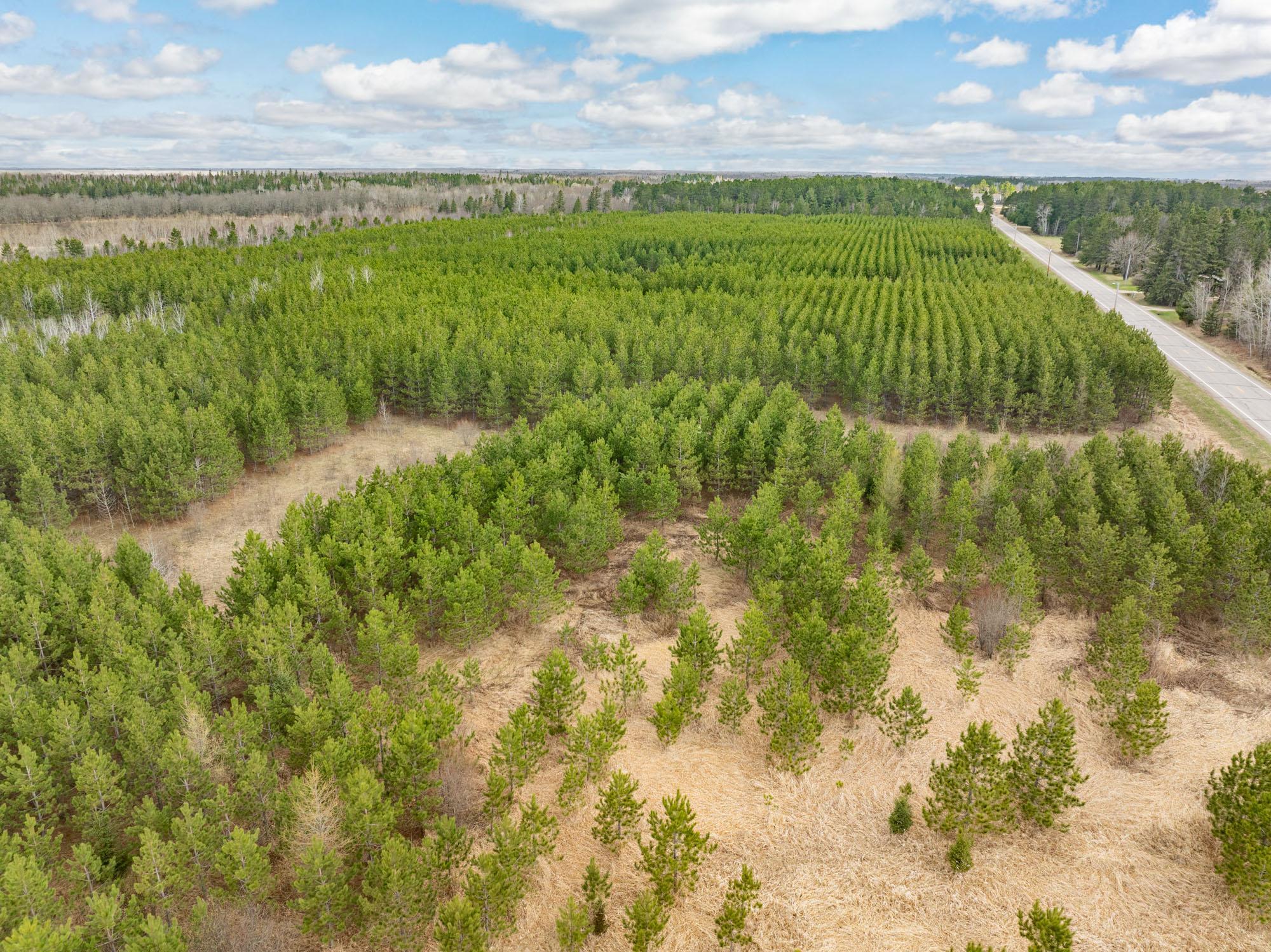 DJI_20260504092410_0461_D-Edit.jpg