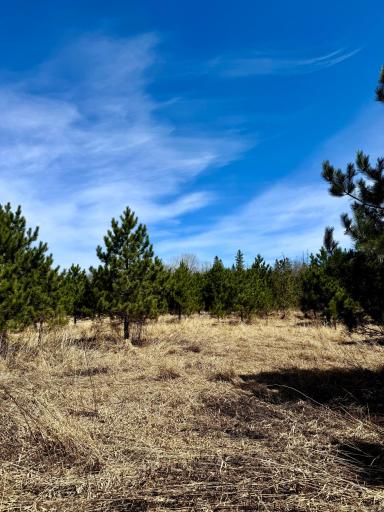 Lot 3 Scenic Highway 7, Bovey, MN 55709