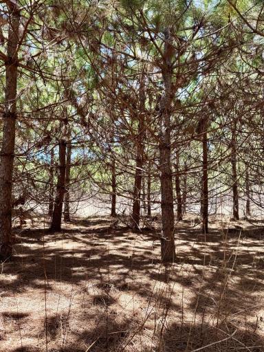 Lot 3 Scenic Highway 7, Bovey, MN 55709