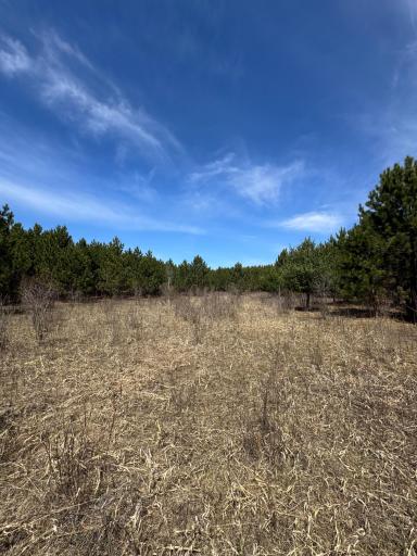 Lot 3 Scenic Highway 7, Bovey, MN 55709